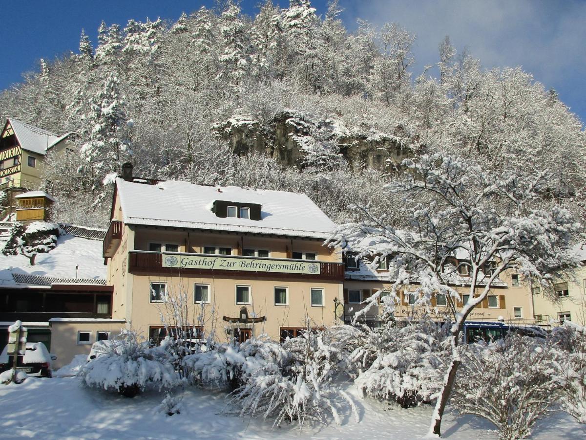 Hotel Gasthof Zur Behringersmuhle Goessweinstein Exterior foto
